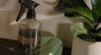 ¿Qué es la limpieza enzimática en el hogar y cómo la puedes llevar a cabo?