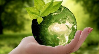 Limpieza biodegradable: ¿cómo implementarla en tu hogar o negocio?