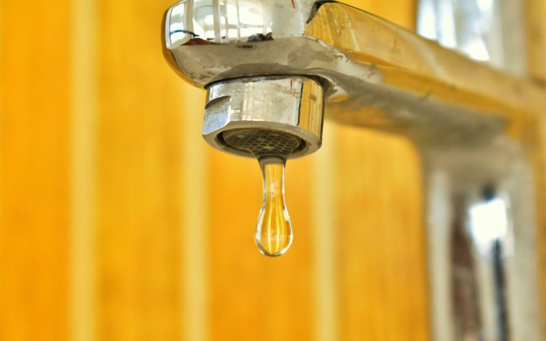 Aguas duras y blandas: La importancia de elegir el producto de limpieza adecuado